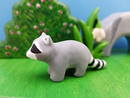 Raccoon