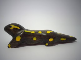 Salamander