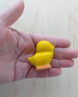 Bigger chick