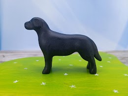 Black labrador