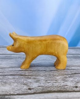 Young piglet