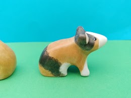 Guinea pig, sitting