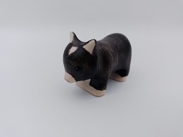 Vietnamese pot-bellied little pig