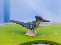 Crested cuckoo