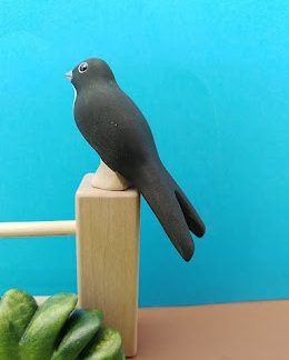 Hanging with tail feathers house martin swallow