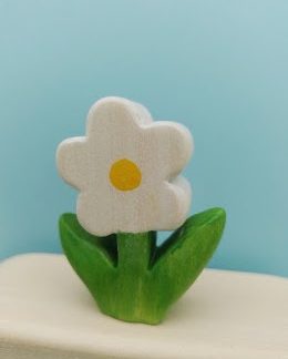 White daisy