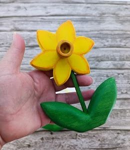 Big daffodil