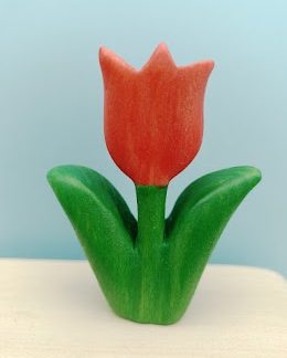 Red medium tulip