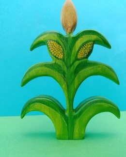 Corn
