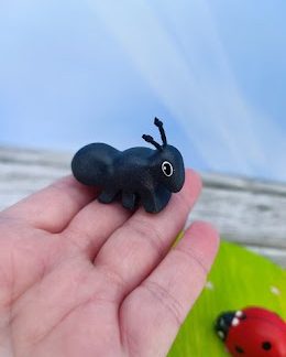 Small ant