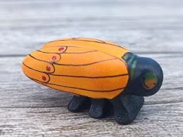 Orange cicada