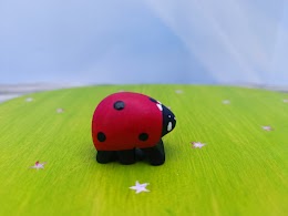 Tiny ladybug