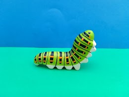 Swallowtail butterfly caterpillar