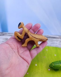 Brown praying locust