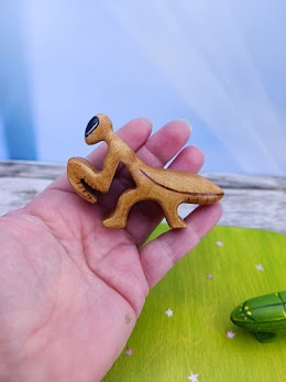 Brown praying locust