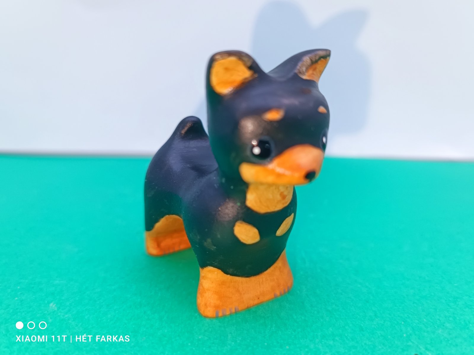 Fekete csivava - Image 3