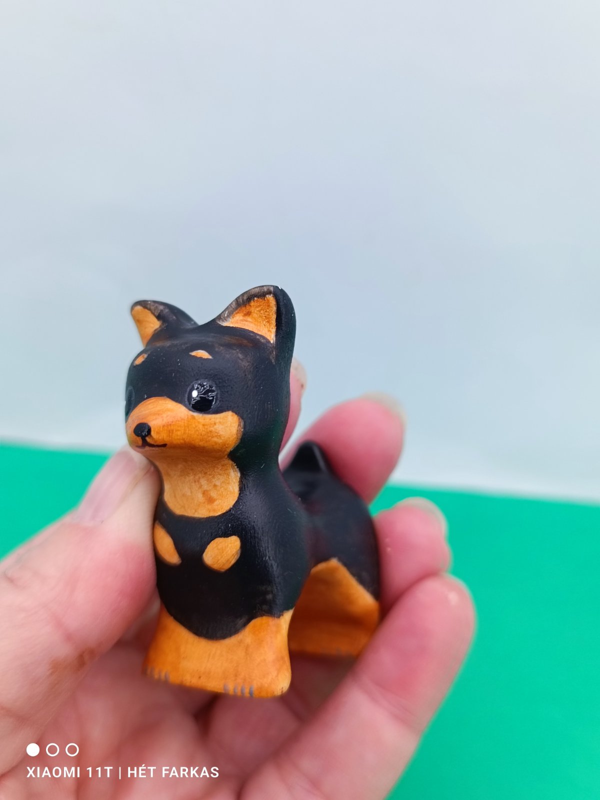 Fekete csivava - Image 7