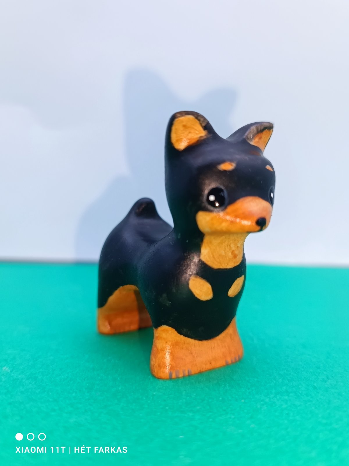 Fekete csivava - Image 2